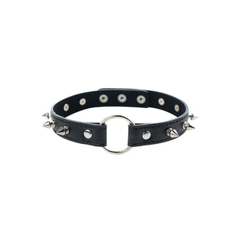 Adjustable collar with spikes